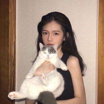 舰指太平洋折扣端下载